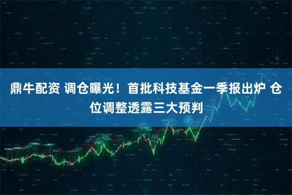 鼎牛配资 调仓曝光！首批科技基金一季报出炉 仓位调整透露三大预判