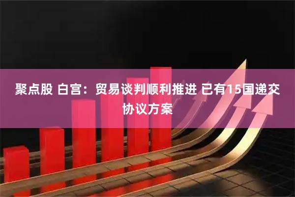聚点股 白宫：贸易谈判顺利推进 已有15国递交协议方案
