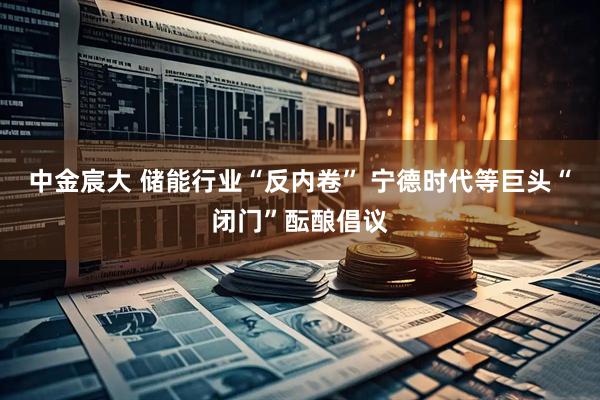 中金宸大 储能行业“反内卷” 宁德时代等巨头“闭门”酝酿倡议