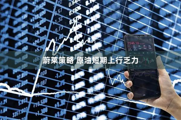 蔚莱策略 原油短期上行乏力
