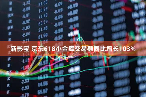 新影宝 京东618小金库交易额同比增长103%