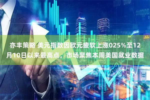 亦丰策略 美元指数因欧元疲软上涨025%至12月10日以来最高点，市场聚焦本周美国就业数据