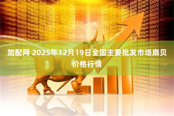 加配网 2025年12月19日全国主要批发市场扇贝价格行情